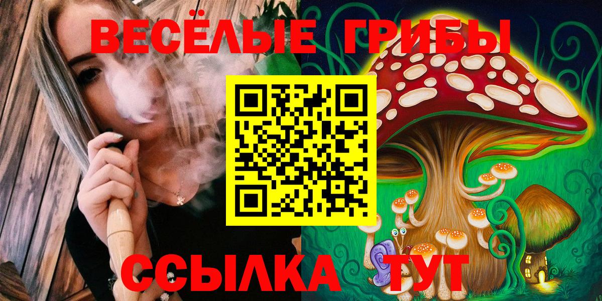 Ишимбай  Псилоцибиновые грибы Cubensis  Вход с VPN 